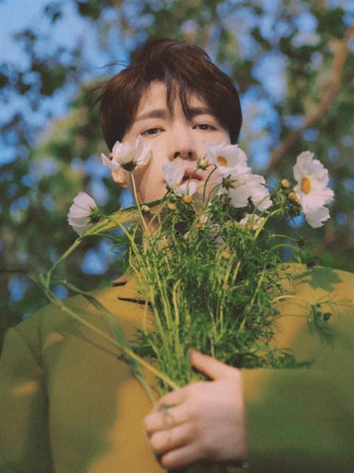 苏喜吃瓜日常,揭秘娱乐圈幕后故事